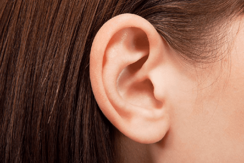 Vị trí vành tai ở người