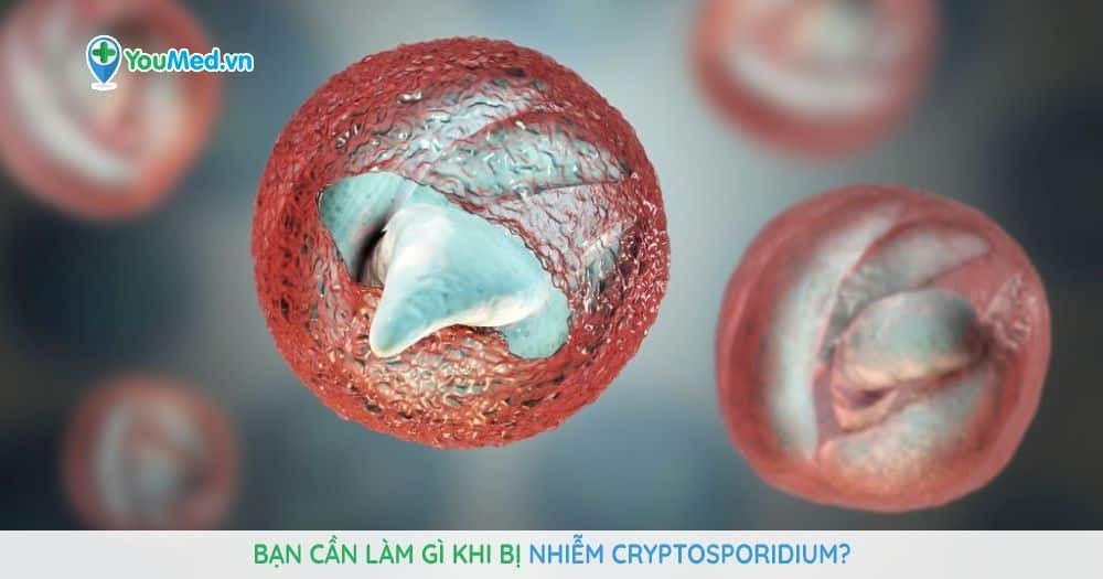 Bạn cần làm gì khi bị nhiễm Cryptosporidium?