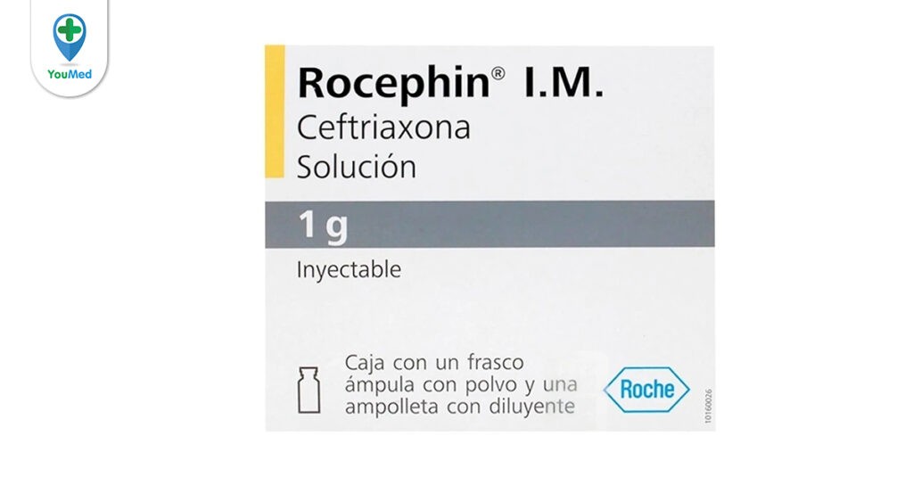 Thuốc Rocephin (ceftriaxone): công dụng, cách dùng và lưu ý