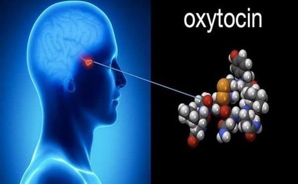 Hormone Oxytocin