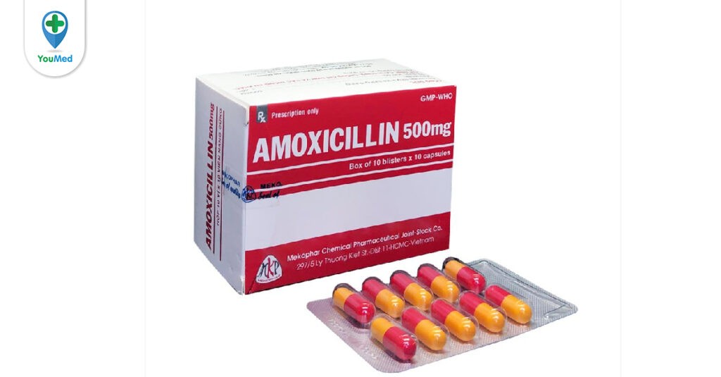 Kháng sinh Amoxicillin 500 mg Mekophar: Công dụng, cách dùng và lưu ý