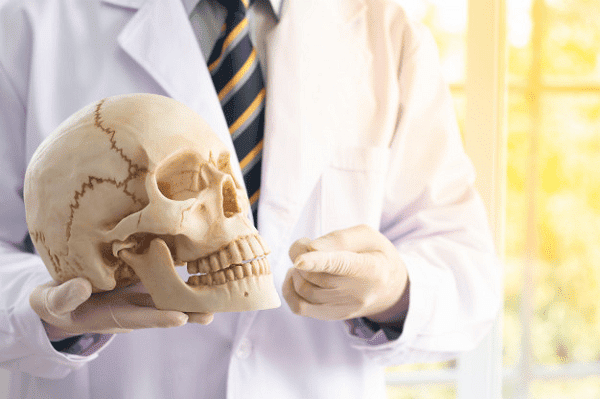 Tìm hiểu giải phẫu và chức năng của xương hàm trên