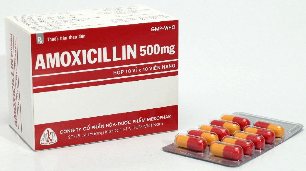 Amoxicillin 500 mg Mekophar do Công ty Cổ phần Hoá - Dược phẩm Mekophar