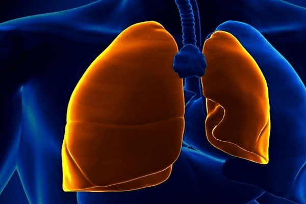  Xẹp phổi là một tình trạng bất thường tại phổi