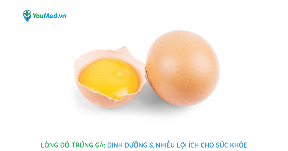 Lòng đỏ trứng gà: Dinh dưỡng và lợi ích sức khỏe