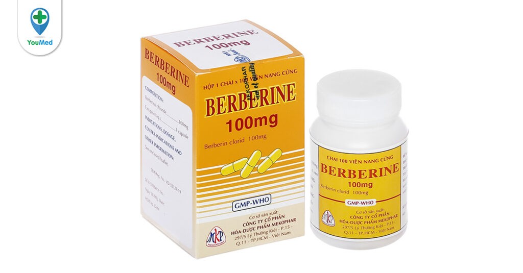 Những điều cần biết về thuốc Berberin