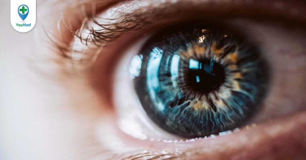 Cùng khám phá cấu tạo và chức năng của đôi mắt