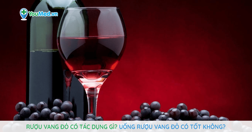 Rượu vang đỏ có tác dụng gì? Uống rượu vang đỏ có tốt không?