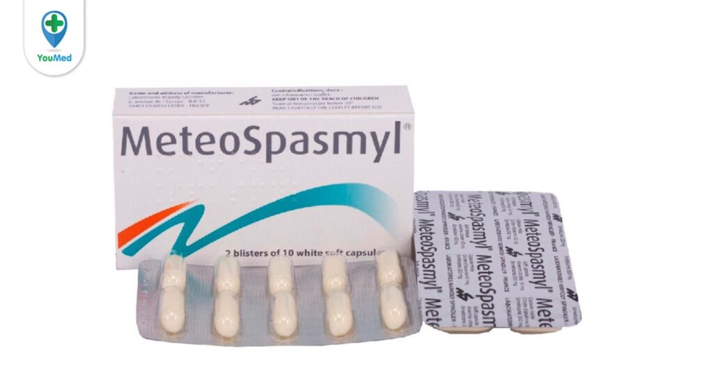 Thuốc Meteospasmyl: Thuốc điều trị rối loạn ruột