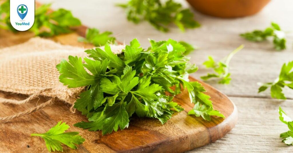 Rau mùi tây: loại rau ăn thông thường hay một vị thuốc