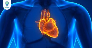 Viêm màng ngoài tim: biểu hiện, chẩn đoán và điều trị