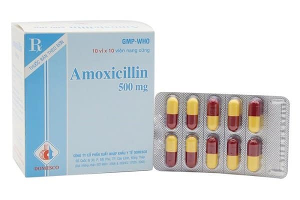 Kháng sinh amoxicillin