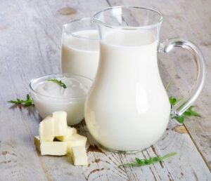 Sữa tươi có thể bị nhiễm vi khuẩn trong quá trình thu thập