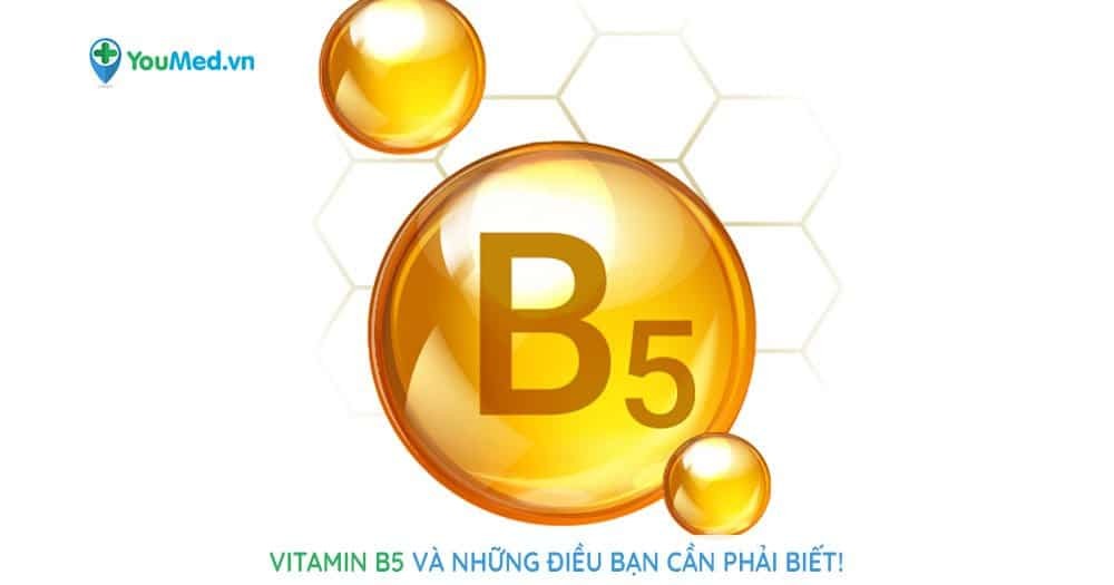 Vitamin B5 và những điều bạn cần phải biết!