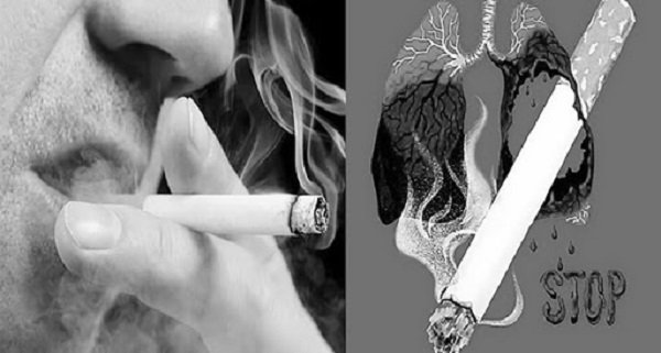 Hút thuốc lá là nguyên nhân ung thư phổi hàng đầu 