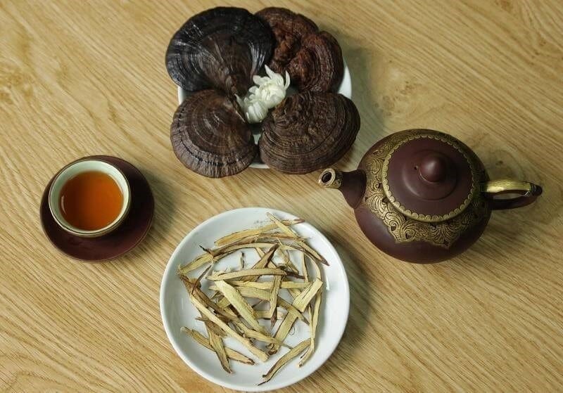 Nấm lim xanh có thể được dùng để sắc uống hoặc hãm trà