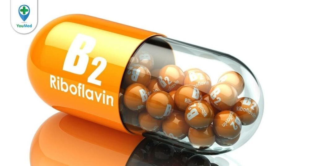Bạn có biết vitamin B2 có tác dụng gì hay không?