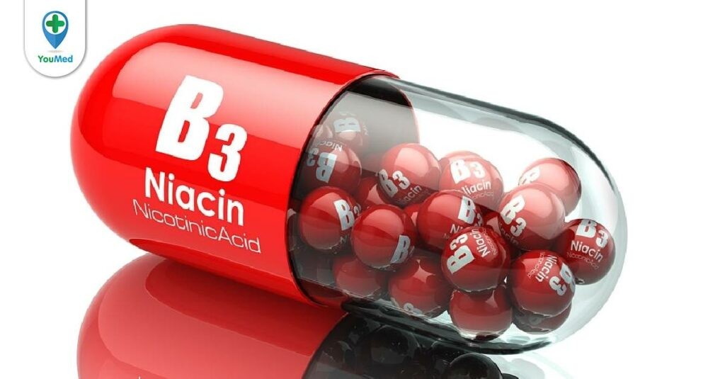 Bạn có biết Vitamin B3 có tác dụng gì hay không?