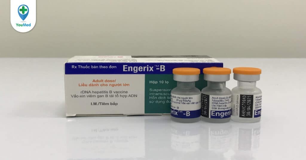 Vắc-xin phòng viêm gan B Engerix: Công dụng, liều dùng, tác dụng phụ