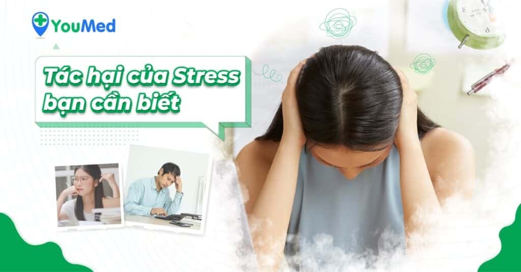 Những tác hại của stress đến sức khỏe nhất định phải biết