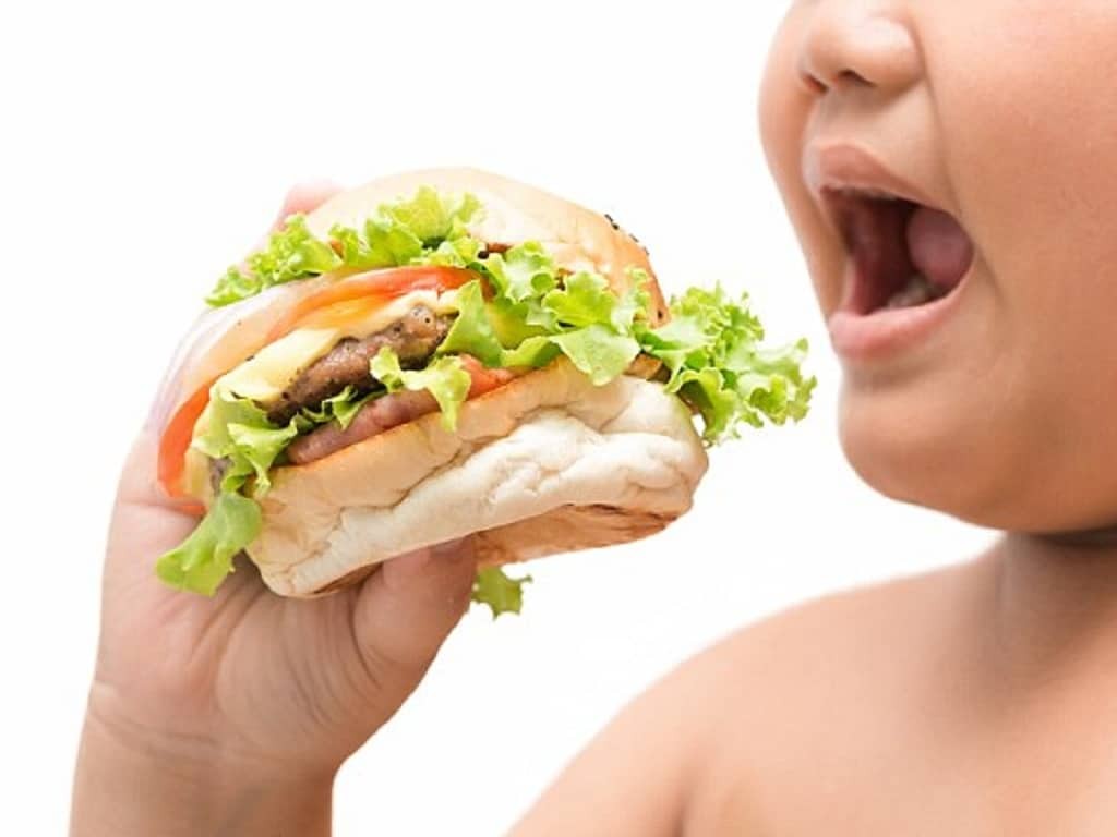 Việc ăn nhiều thức ăn nhanh, chứa nhiều chất béo là nguyên nhân dẫn đến béo phì