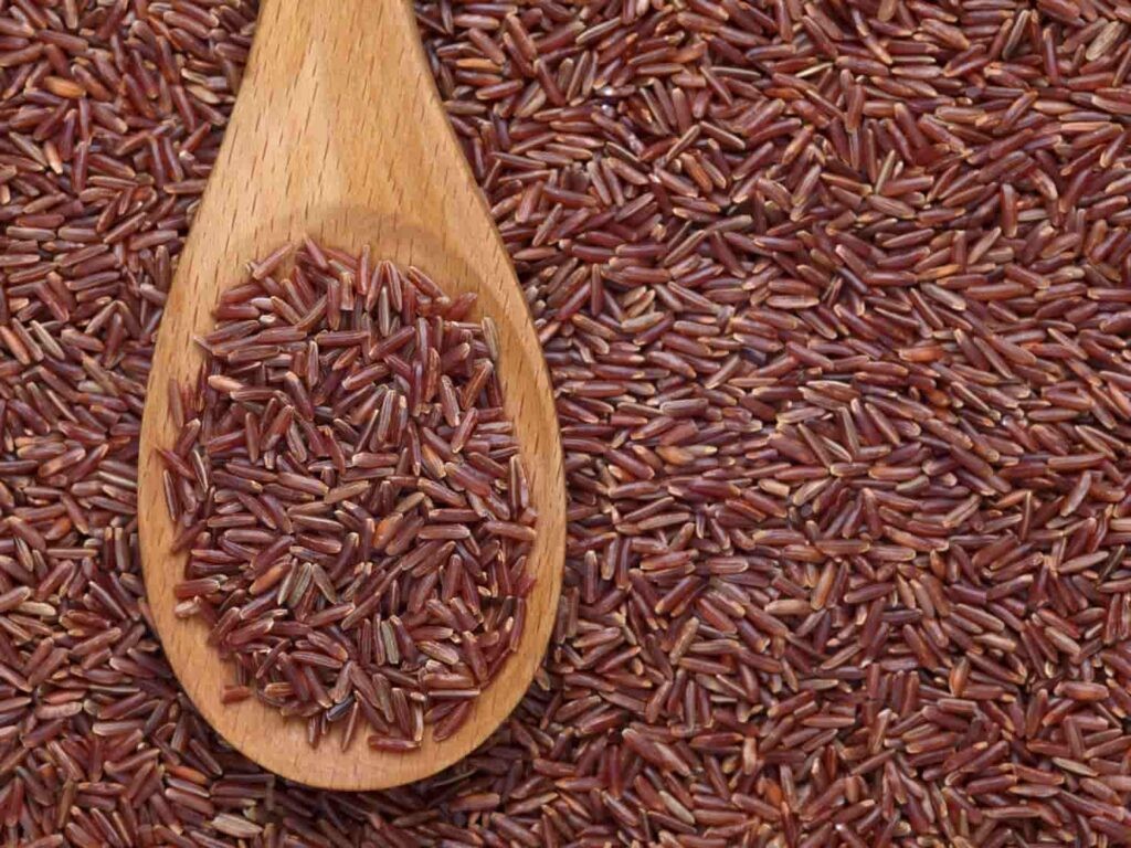 Gạo huyết rồng là một trong những loại ngũ cốc có giá trị dinh dưỡng cao, chứa nhiều loại vitamin, khoáng chất