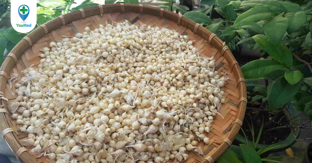 Củ nén: Nguyên liệu vàng đến từ bếp ăn