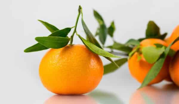 Quýt Thái ngọt và rất tốt cho sức khỏe