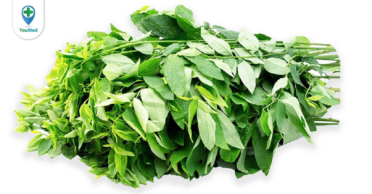 Rau ngót - Công dụng đối với sức khỏe và những lưu ý khi dùng - YouMed