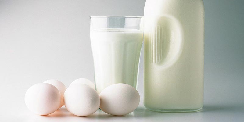 Những thực phẩm giàu đạm như trứng, sữa,... cung cấp hàm lượng protein để duy trì cân nặng