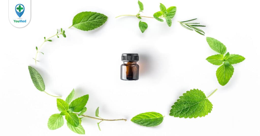 Tinh dầu Bạc hà và những sự thật có thể bạn chưa biết