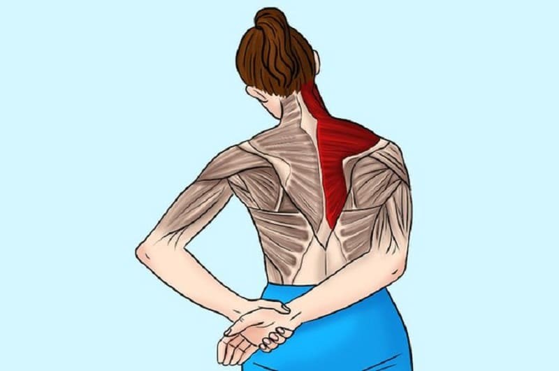 Bài tập cơ thang dành cho người đau vai gáy