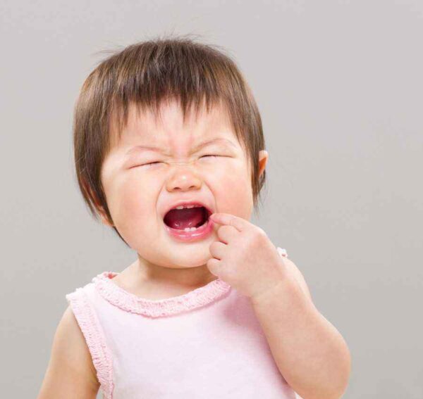 bé mọc răng hàm không chịu ăn