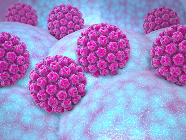 HPV virus chính là nguyên nhân chính gây mụn cóc