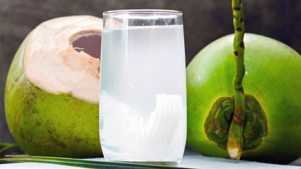 Nước dừa giúp bổ sung nước cho cơ thể rất hiệu quả