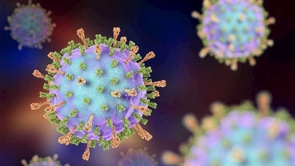 Nhiễm virus quai bị là nguyên nhân thường gặp nhất gây nên các dấu hiệu viêm tinh hoàn