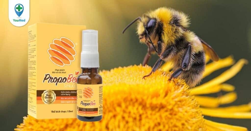 Xịt keo ong PropoBee: Giá, công dụng và cách sử dụng hiệu quả