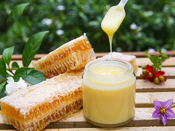 Thành phần của Buona Energia Oro bao gồm sữa ong chúa với hàm lượng 600mg