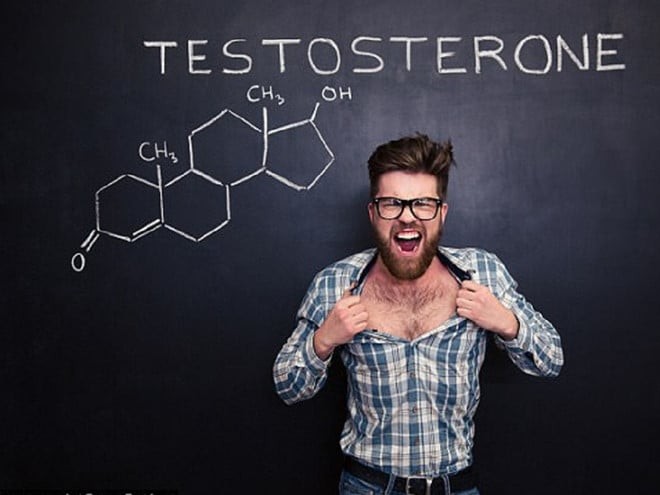Cọ lùn tác động lên testosterone ở nam giới