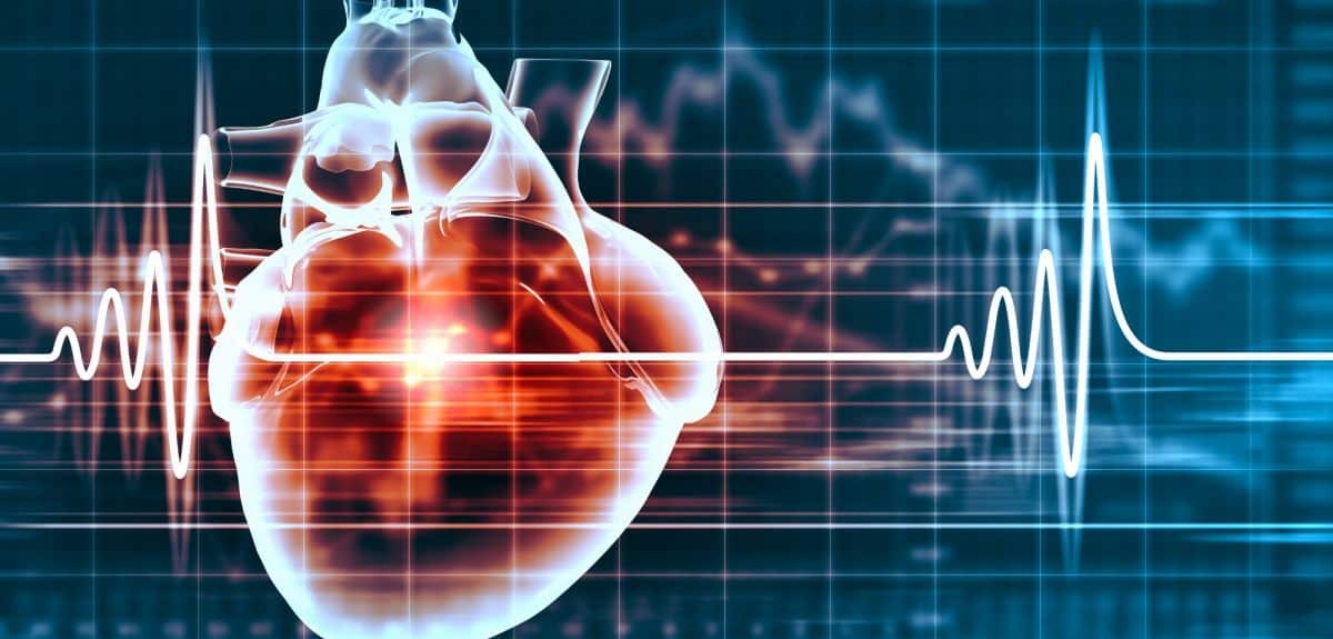 Siêu âm tim là một trong những phương pháp quan trọng để đánh giá sức khỏe tim mạch