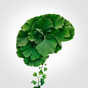 Sử dụng Giloba cần lưu ý những vấn đề gì?