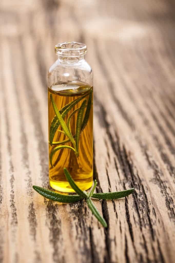 Tinh dầu hương thảo có thể hỗ trợ chiều trị tình trạng viêm khớp
