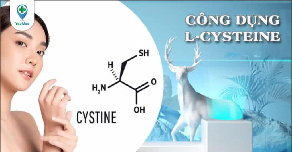 L-Cystine là gì? Cơ chế hoạt động và chỉ định ra sao?