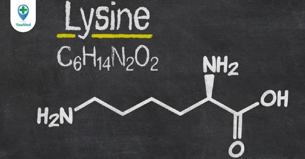 Lysine là gì? Công dụng, liều dùng, tác dụng phụ