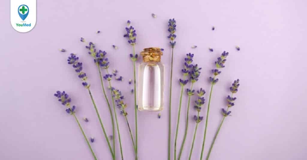 Lợi ích không ngờ của tinh dầu hoa oải hương (lavender)