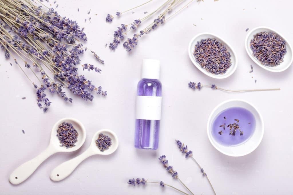 Tinh dầu hoa lavender có thể được sử dụng như nước hoa hồng