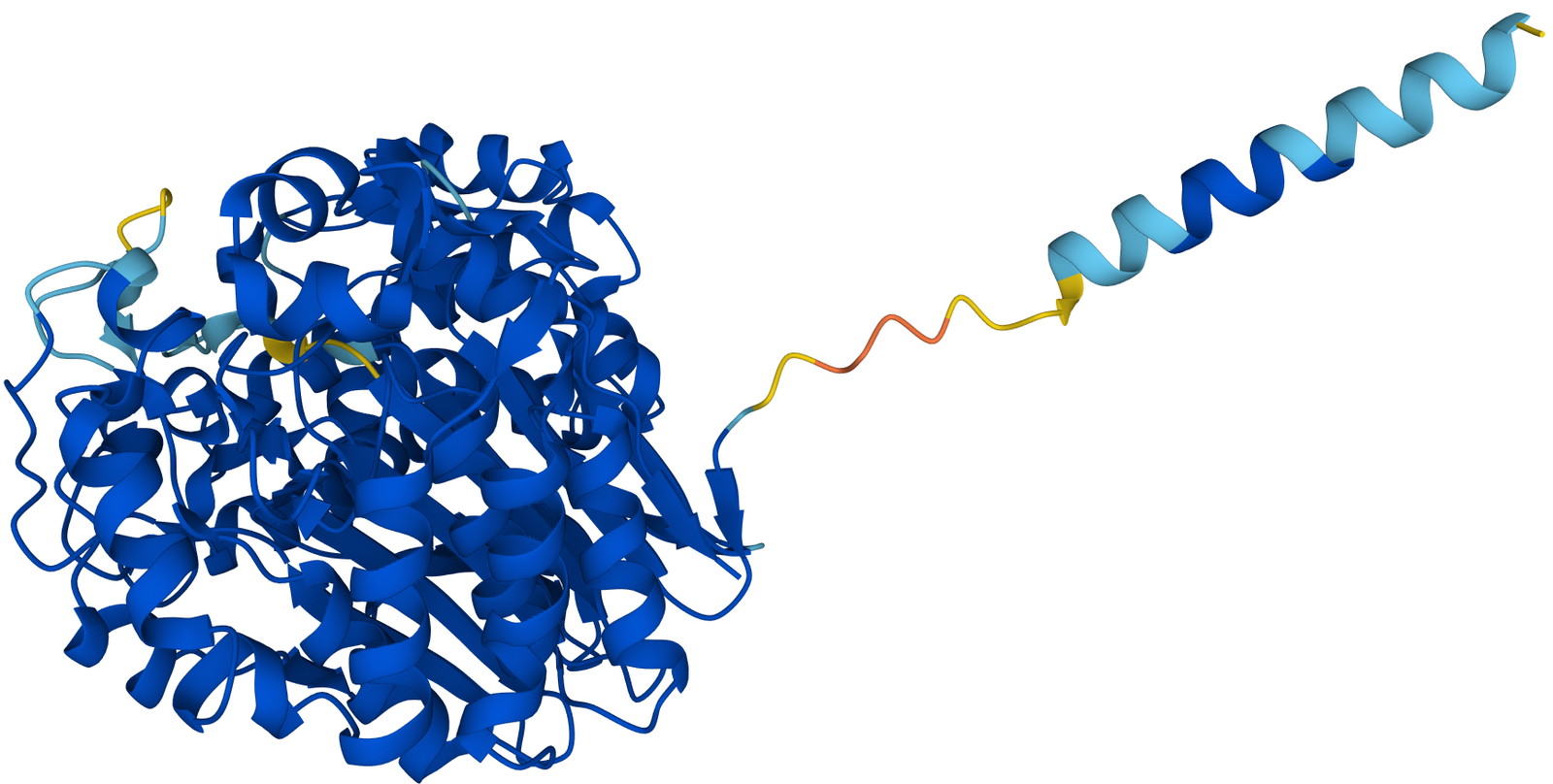 Xét nghiệm GGT là gì? Đối tượng cần xét nghiệm và lưu ý YouMed