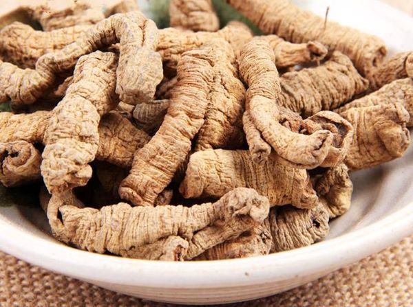 Ba kích - Vị thuốc bổ thận tráng dương lâu đời