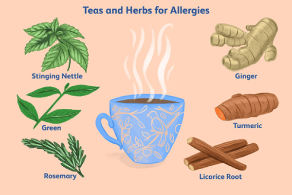 Nhiều loại trà và thảo mộc có lợi trong bệnh lý da dị ứng