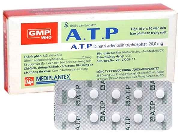 Thuốc A.T.P được điều chế dưới dạng viên bao tan trong ruột để đảm bảo thuốc được hấp thu hoàn toàn vào cơ thể